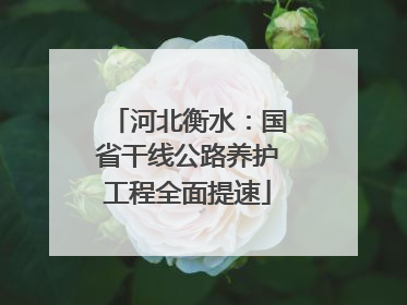 河北衡水：国省干线公路养护工程全面提速
