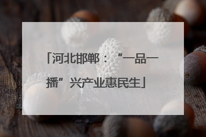 河北邯郸：“一品一播”兴产业惠民生