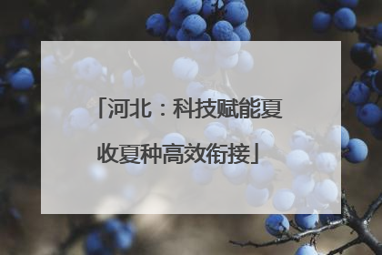 河北：科技赋能夏收夏种高效衔接