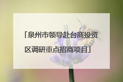 泉州市领导赴台商投资区调研重点招商项目