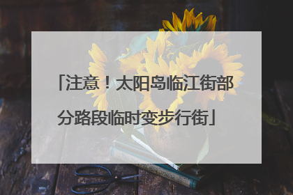 注意！太阳岛临江街部分路段临时变步行街