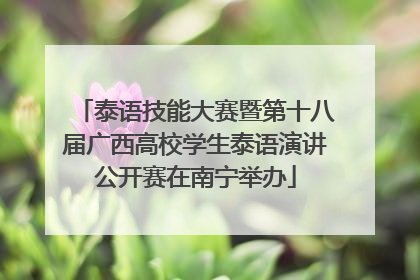 泰语技能大赛暨第十八届广西高校学生泰语演讲公开赛在南宁举办