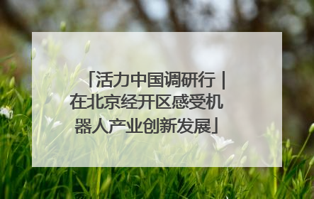 活力中国调研行｜在北京经开区感受机器人产业创新发展