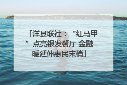 洋县联社：“红马甲”点亮银发餐厅 金融暖延伸惠民末梢