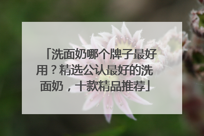 洗面奶哪个牌子最好用？精选公认最好的洗面奶，十款精品推荐