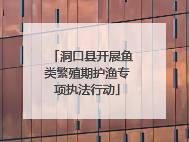 洞口县开展鱼类繁殖期护渔专项执法行动