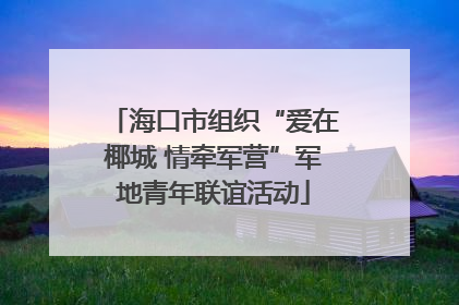 海口市组织“爱在椰城 情牵军营”军地青年联谊活动