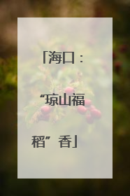 海口：“琼山福稻”香