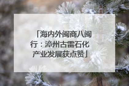 海内外闽商八闽行：漳州古雷石化产业发展获点赞