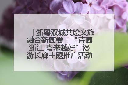 浙粤双城共绘文旅融合新画卷：“诗画浙江 粤来越好”漫游长廊主题推广活动在广州花城汇启幕