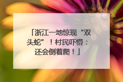 浙江一地惊现“双头蛇”！村民吓懵：还会倒着爬！