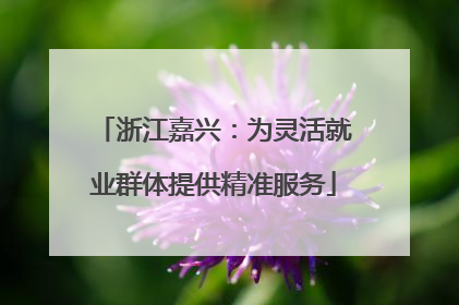 浙江嘉兴：为灵活就业群体提供精准服务