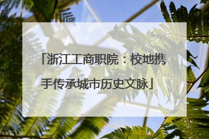 浙江工商职院：校地携手传承城市历史文脉