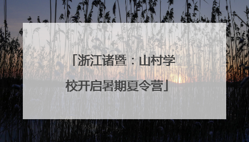 浙江诸暨：山村学校开启暑期夏令营