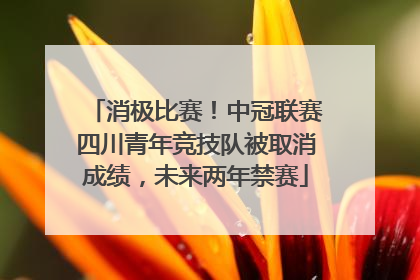 消极比赛！中冠联赛四川青年竞技队被取消成绩，未来两年禁赛