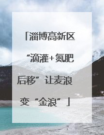 淄博高新区“滴灌+氮肥后移”让麦浪变“金浪”