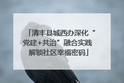 清丰县城西办深化“党建+共治”融合实践 解锁社区幸福密码