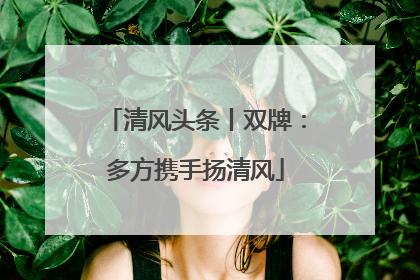 清风头条丨双牌：多方携手扬清风