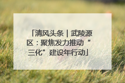 清风头条｜武陵源区：聚焦发力推动“三化”建设年行动