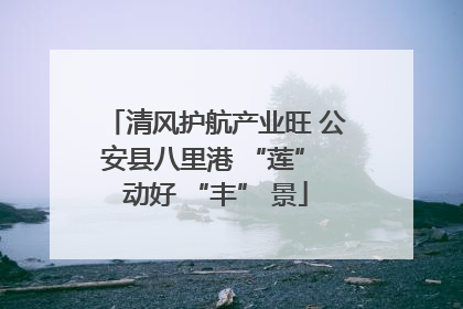 清风护航产业旺 公安县八里港 “莲” 动好 “丰” 景