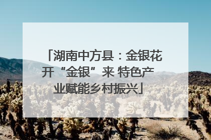 湖南中方县：金银花开“金银”来 特色产业赋能乡村振兴