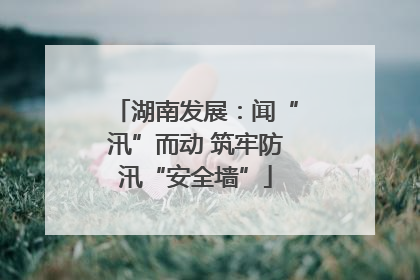 湖南发展：闻“汛”而动 筑牢防汛“安全墙”