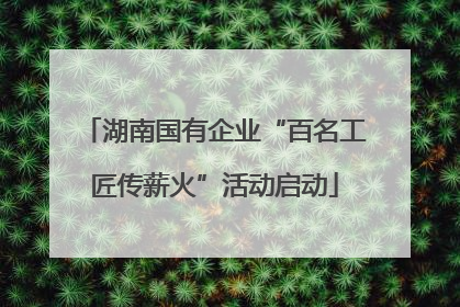 湖南国有企业“百名工匠传薪火”活动启动
