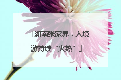 湖南张家界：入境游持续“火热”