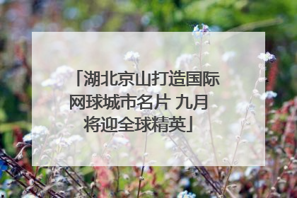 湖北京山打造国际网球城市名片 九月将迎全球精英