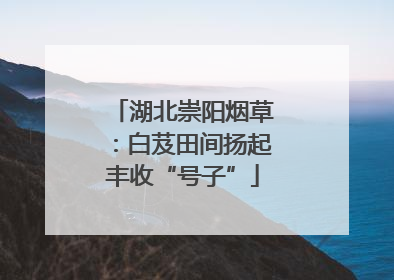 湖北崇阳烟草：白芨田间扬起丰收“号子”