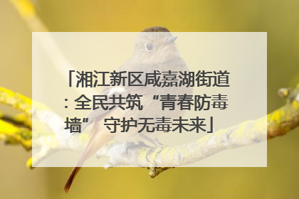 湘江新区咸嘉湖街道：全民共筑“青春防毒墙” 守护无毒未来