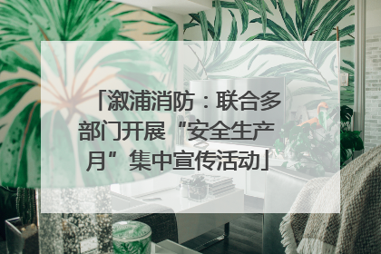 溆浦消防：联合多部门开展“安全生产月”集中宣传活动