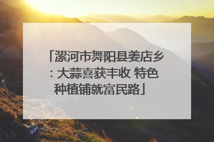 漯河市舞阳县姜店乡：大蒜喜获丰收 特色种植铺就富民路