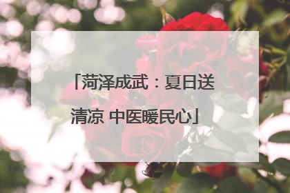 菏泽成武：夏日送清凉 中医暖民心