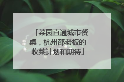 菜园直通城市餐桌，杭州邵老板的收菜计划和期待