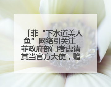 菲“下水道美人鱼”网络引关注 菲政府部门考虑请其当官方大使，赠现金开店