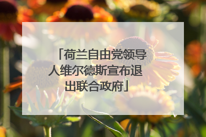 荷兰自由党领导人维尔德斯宣布退出联合政府