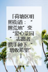 荷塘区明照街道：“撂荒地”变“爱心菜园” 志愿者携手种下“增收希望”