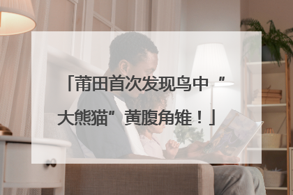 莆田首次发现鸟中“大熊猫”黄腹角雉！