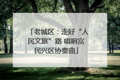 老城区：走好“人民文旅”路 唱响富民兴区协奏曲