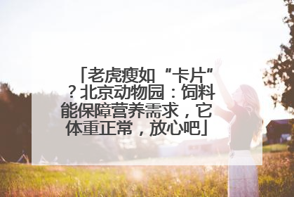 老虎瘦如“卡片”？北京动物园：饲料能保障营养需求，它体重正常，放心吧
