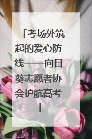 考场外筑起的爱心防线——向日葵志愿者协会护航高考