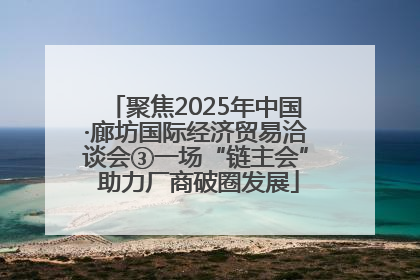 聚焦2025年中国·廊坊国际经济贸易洽谈会③一场“链主会” 助力厂商破圈发展