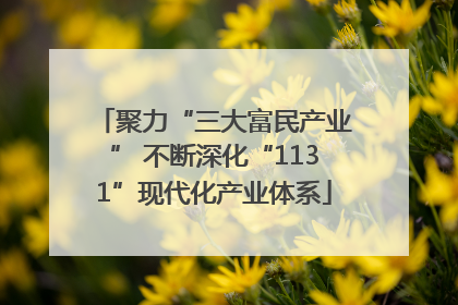 聚力“三大富民产业” 不断深化“1131”现代化产业体系