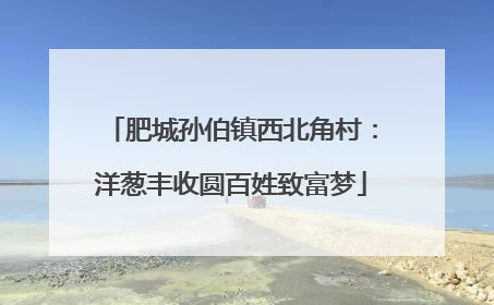 肥城孙伯镇西北角村：洋葱丰收圆百姓致富梦