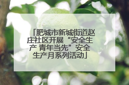 肥城市新城街道赵庄社区开展“安全生产 青年当先”安全生产月系列活动