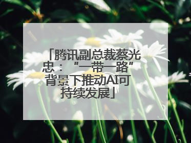 腾讯副总裁蔡光忠：“一带一路”背景下推动AI可持续发展