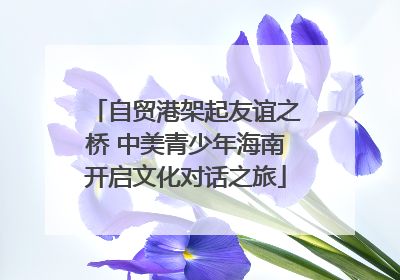 自贸港架起友谊之桥 中美青少年海南开启文化对话之旅
