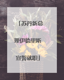 苏丹新总理伊德里斯宣誓就职