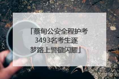 蔡甸公安全程护考 3493名考生逐梦路上警徽闪耀